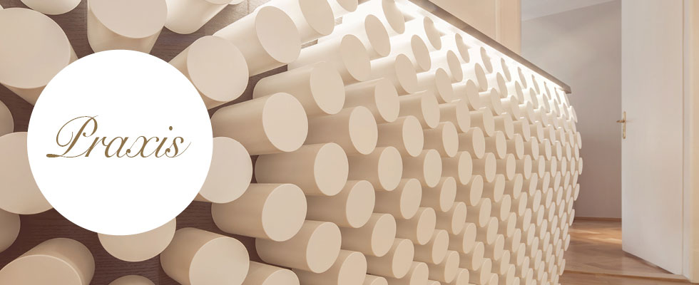 Praxis Praxis
